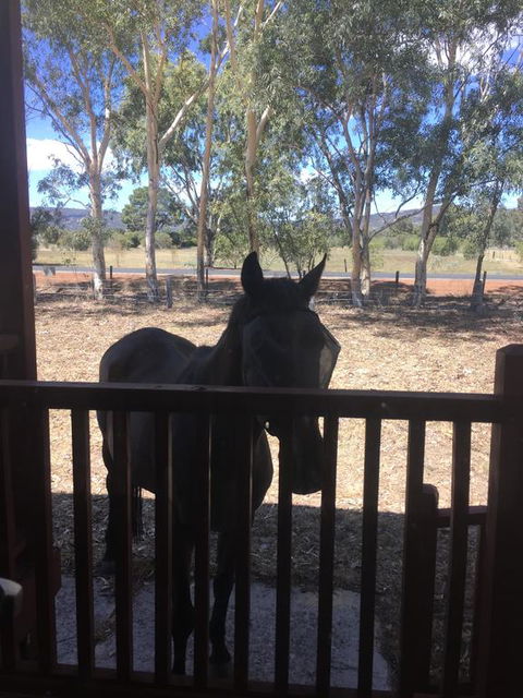 Thie My Chree Retreat - Hobart Tourism 3