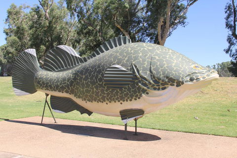 Tocumwal Hotel Motel (The Palms) - Tourism TAS 1