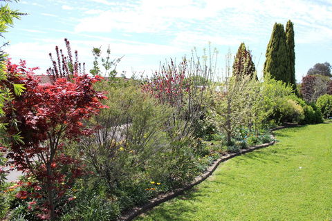 Top Of The Town Motel - Hobart Tourism 2