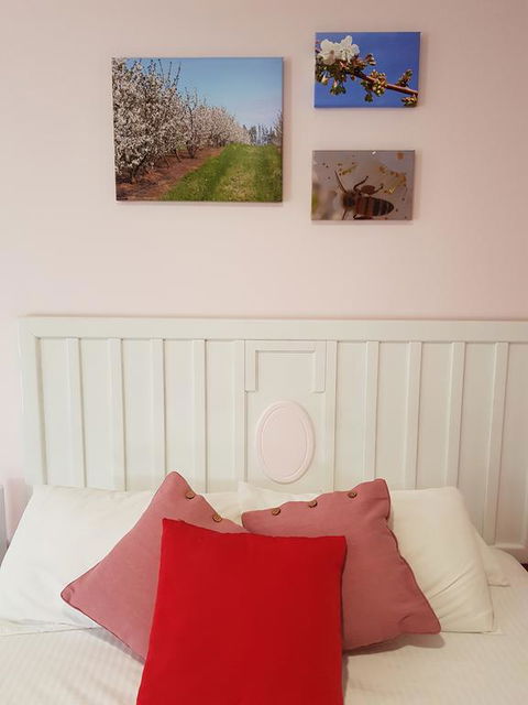 Town House Motor Inn Young - Hobart Tourism 1