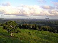 Book Maleny Accommodation Vacations Tourism TAS Tourism TAS