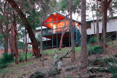 Treehouse - 3 Acre Elevated Nature Setting - Tourism TAS 3
