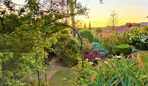 Treetops Escape - Hobart Tourism 1