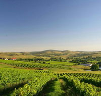 Turners Vineyard Motel - Hobart Tourism