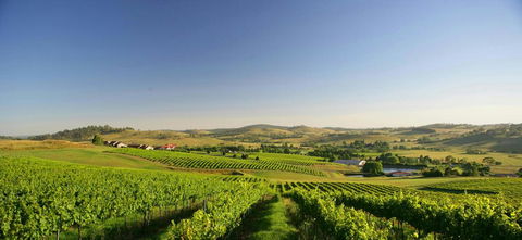 Turners Vineyard Motel - Hobart Tourism 0