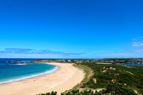 Twelve Apostles Beach House B&B - Hobart Tourism 1