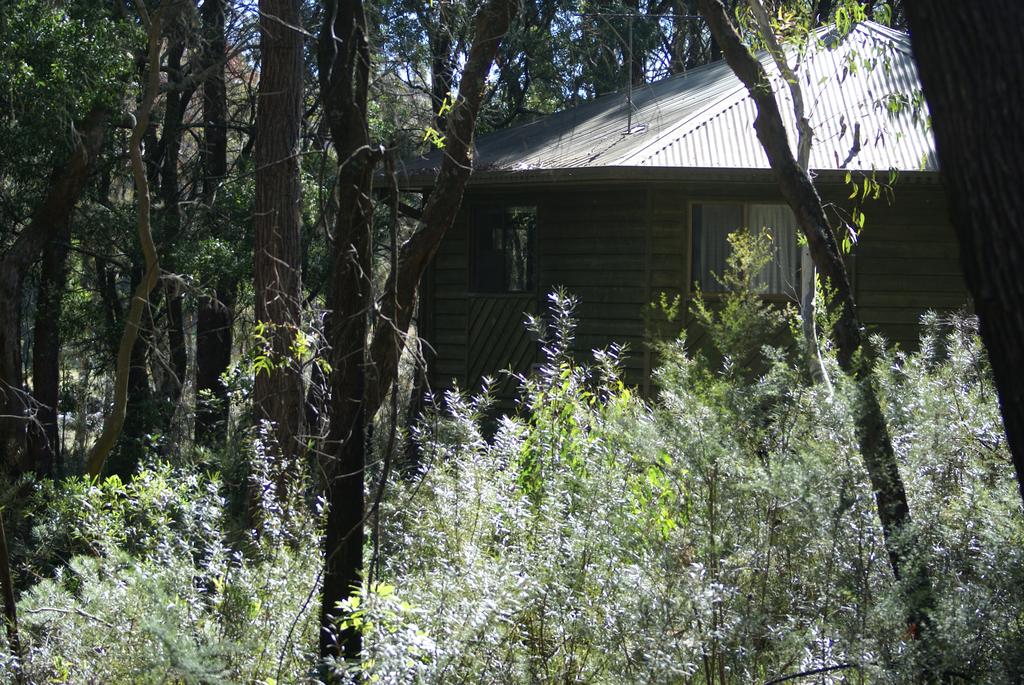 Fitzroy Falls NSW Tourism TAS