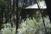 Book Fitzroy Falls Accommodation Vacations Tourism TAS Tourism TAS