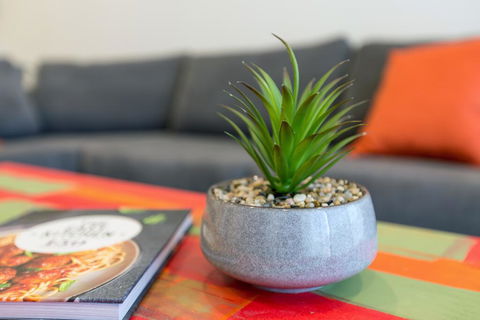 Urban Jungle! Executive Apartment In Heart Of CBD - Hobart Tourism 1