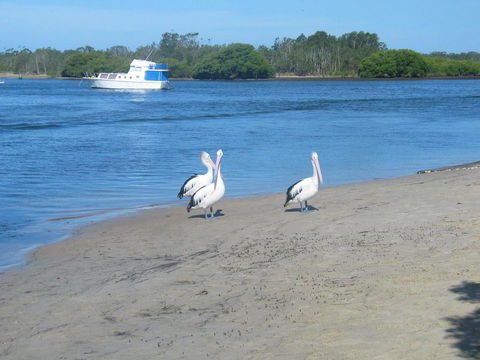 Views To Yaccaba Headland - Tourism TAS 2