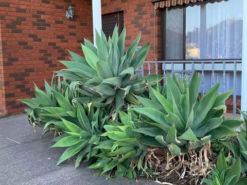 Vintage House In Bentleigh East - Hobart Tourism 1