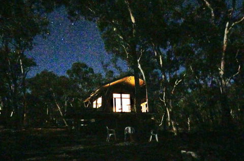 Wallabies Rest - Hobart Tourism 2