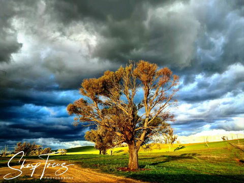 Wantana Cottage Farmstay - Hobart Tourism 2