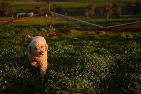 Wantana Cottage Farmstay - Hobart Tourism 1