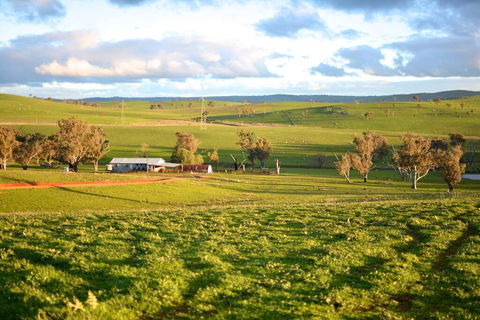 Wantana Cottage Farmstay - Hobart Tourism 0