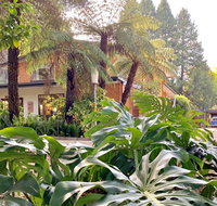 Warburton Motel - Tourism TAS