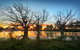 Warrawong On The Darling Wilcannia - thumb 3