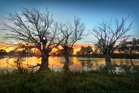 Warrawong On The Darling Wilcannia - Tourism TAS 3