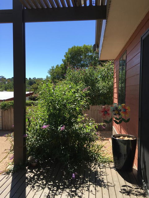 Daydream Cottage - Hobart Tourism 10
