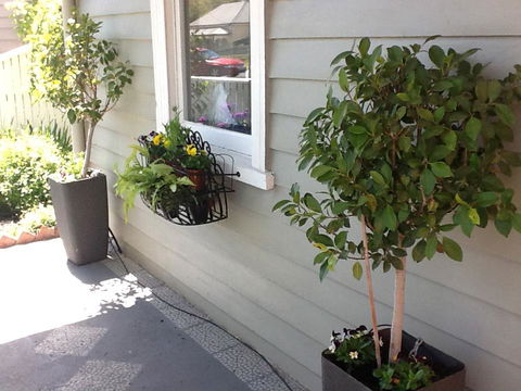 Redruth Cottage - Hobart Tourism 19