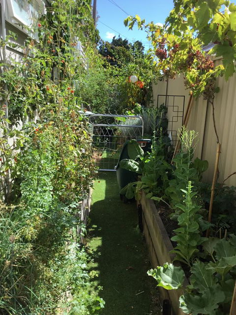 Redruth Cottage - Hobart Tourism 7