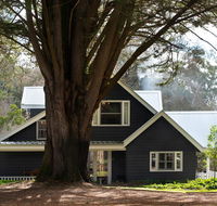 The Orchard - Tourism TAS