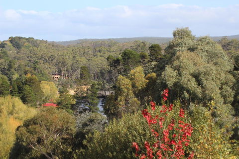 The Orchard - Tourism TAS 28