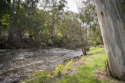 Oscar\'s On The Yarra - Tourism TAS 23