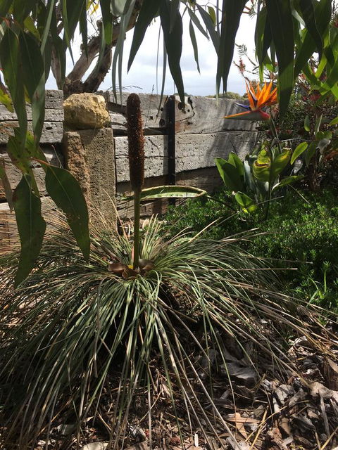 The PC Cottage - Hobart Tourism 32