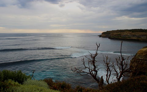 The PC Cottage - Hobart Tourism 36