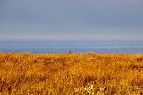 The PC Cottage - Hobart Tourism 39