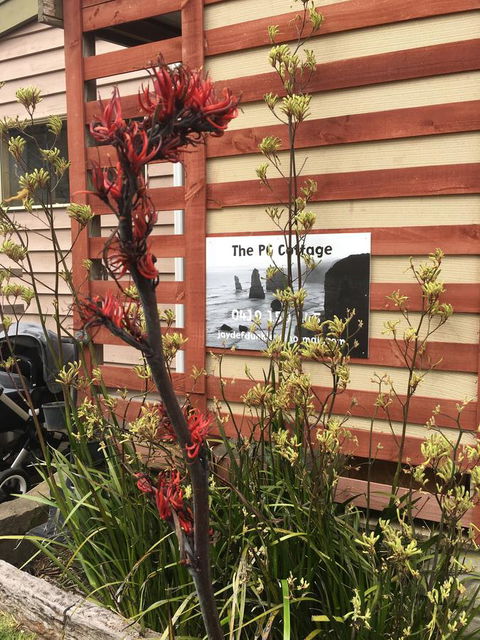 The PC Cottage - Hobart Tourism 30