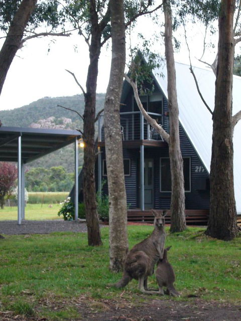The A-Frame - Tourism TAS 1