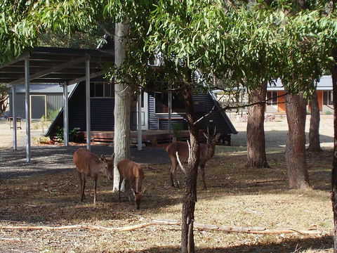 The A-Frame - Tourism TAS 13