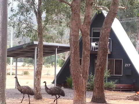 The A-Frame - Tourism TAS 9