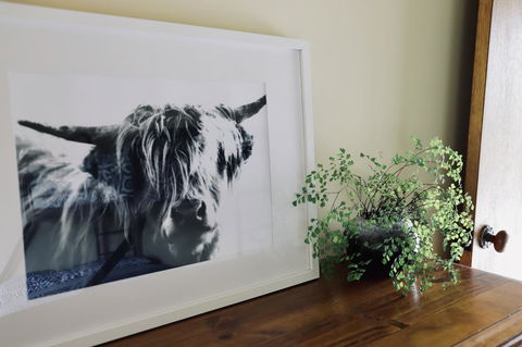 Red Ceder Cottage - Great Ocean Road - Port Campbell - Hobart Tourism 5