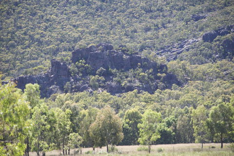 Gumnut Villa - Tourism TAS 0