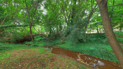 Aspens Springs Farmstay - Tourism TAS 21