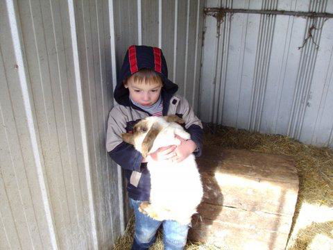 Aspens Springs Farmstay - Tourism TAS 28