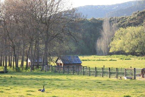 Aspens Springs Farmstay - Tourism TAS 25