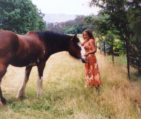 Aspens Springs Farmstay - Tourism TAS 31