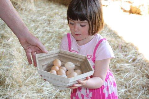 Aspens Springs Farmstay - Tourism TAS 27