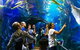 South Wharf Melbourne - thumb 18
