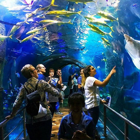 South Wharf Melbourne - Tourism TAS 18