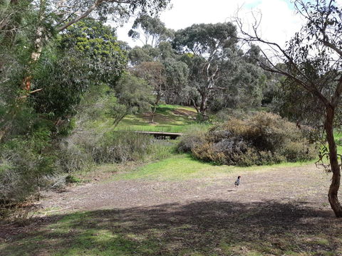 Elevated Holiday House Overlooks Tranquil Wetlands - Hobart Tourism 11
