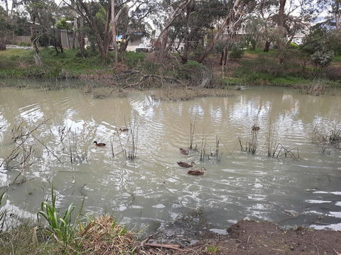 Elevated Holiday House Overlooks Tranquil Wetlands - Hobart Tourism 12