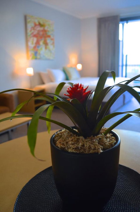 Mansfield Apartments - Tourism TAS 21