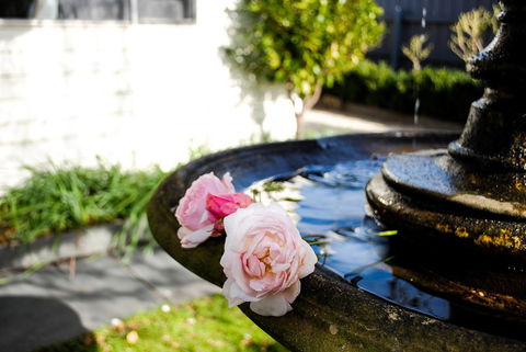 Bed Of Roses - Hobart Tourism 35