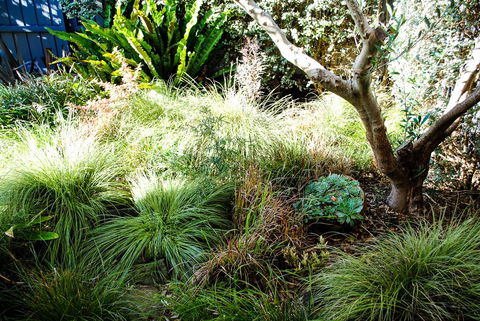 Bed Of Roses - Hobart Tourism 21