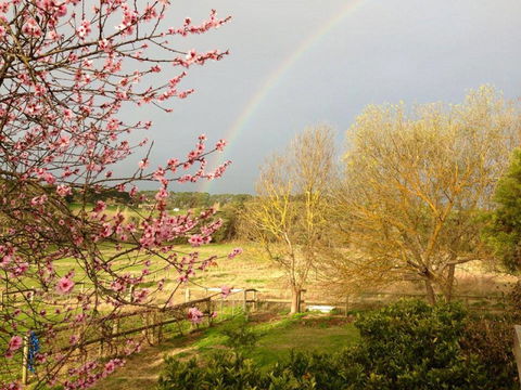 Australian Home Away @ Wonga Park Brushy Creek - Hobart Tourism 19